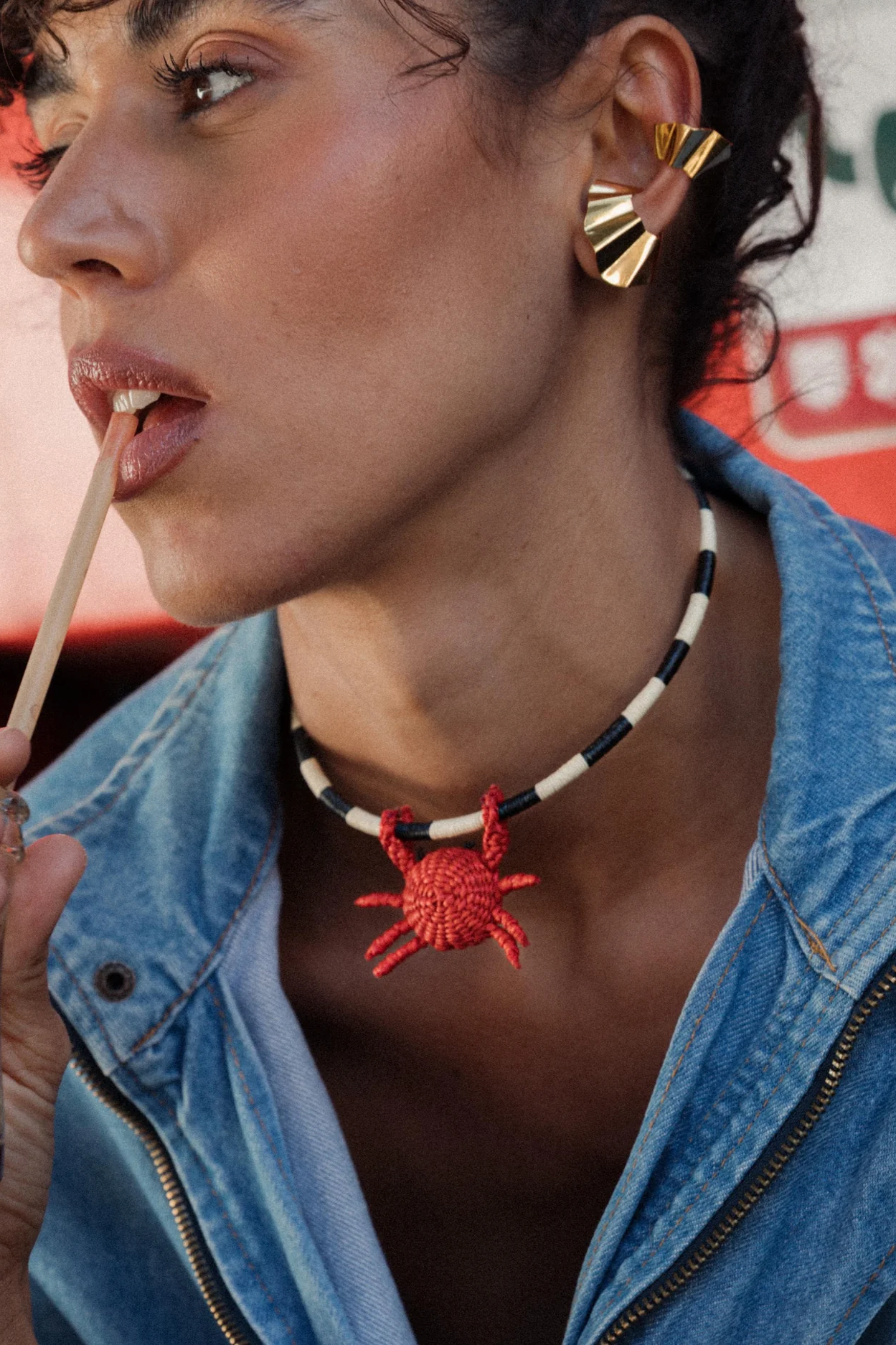 Clarte Choker Animal + 1 Removable Charm