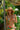 Woman in a colorful bikini and straw hat surrounded by greenery