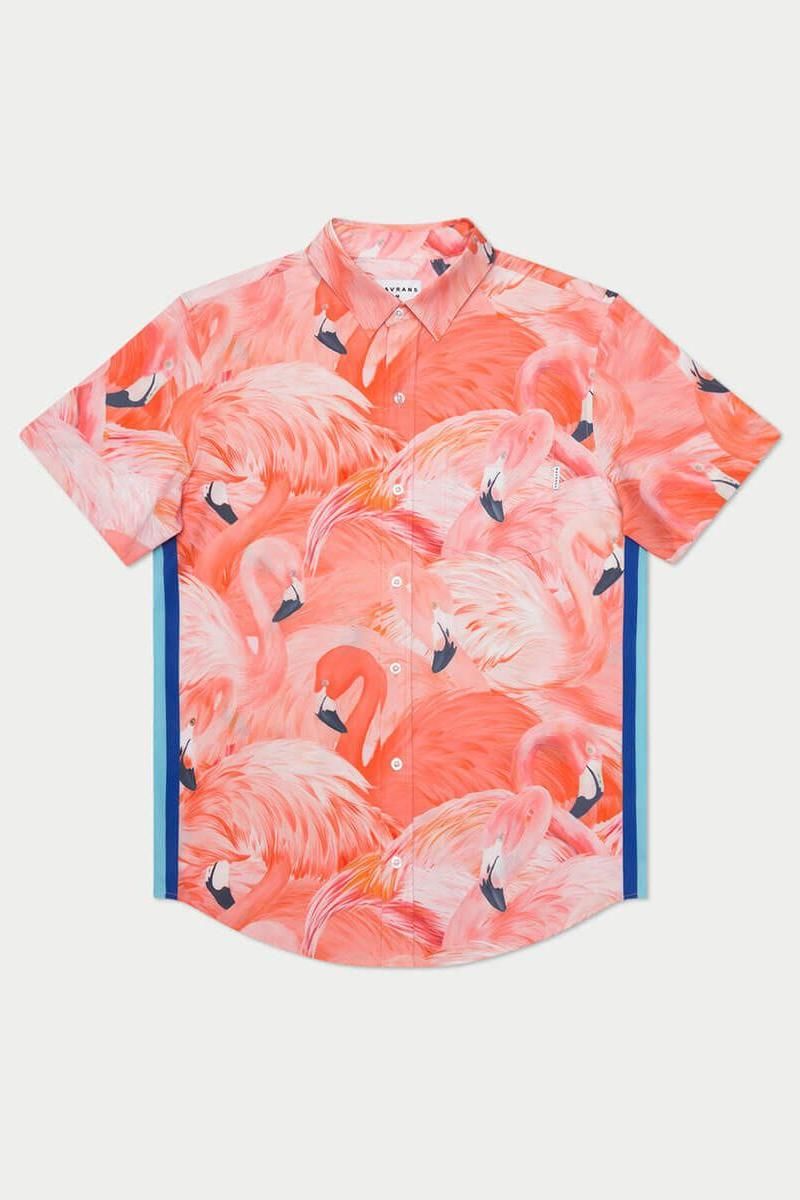 flamingo11